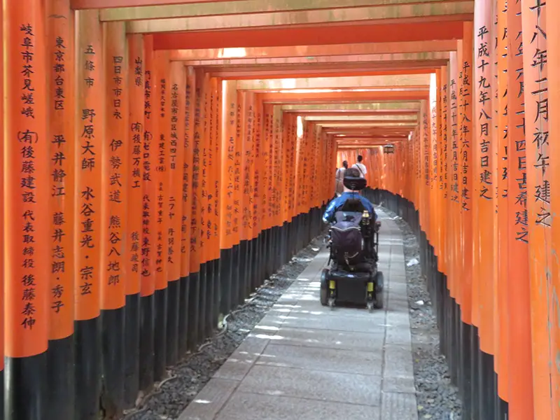 A person using a power wheelchair rolling through Japanese torii gates