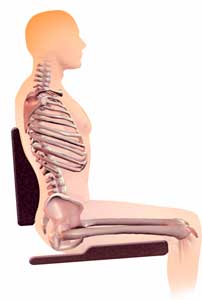 Pelvic and Spinal Postures